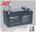 12V Auto/Truck Battery-TELONG 12V80Ah-Maintenance-Free Lead Acid Battery 1