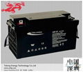 12V Car Use-TELONG 12V120Ah-Maintenance-Free Lead Acid Battery  1