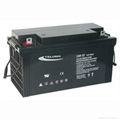 12V Car Use-TELONG 12V120Ah-Maintenance-Free Lead Acid Battery  2