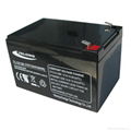 12V Alarm System Battery-TELONG 12V12ah-Maintenance-Free Lead Acid Battery 2