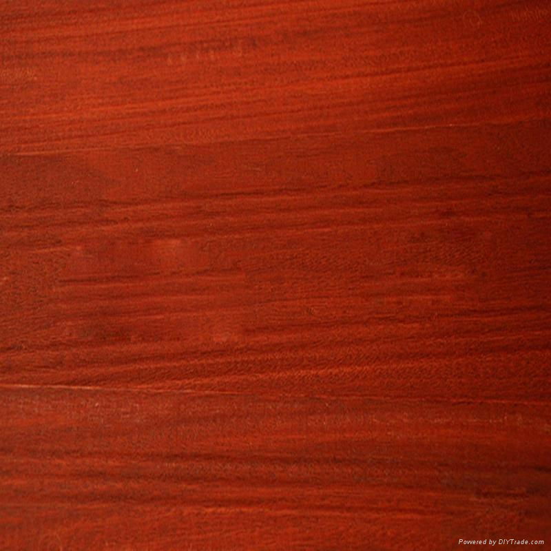 Red balsamo flooring wooden for household 2