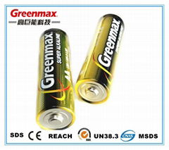 AA Alkaline Battery 1.5V LR6