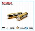 1.5V LR6 AA Alkaline Battery in Primary & Dry Battery 8