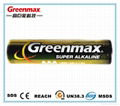 LR03 AAA Alkaline Battery 3