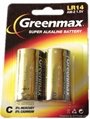 9v Alkaline Battery 6LR61 4