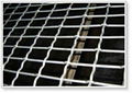 Crimped Wire Mesh 1