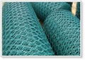 Hexagonal Wire Netting