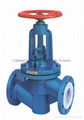 Globe Valve