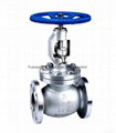 Globe Valve 5