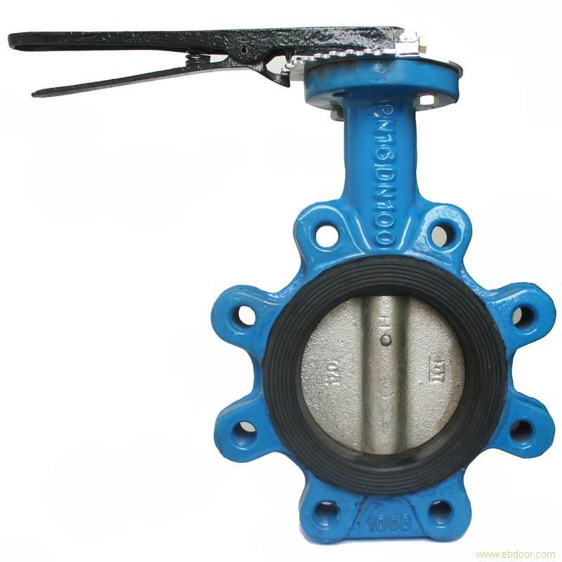 Butterfly Valve 3