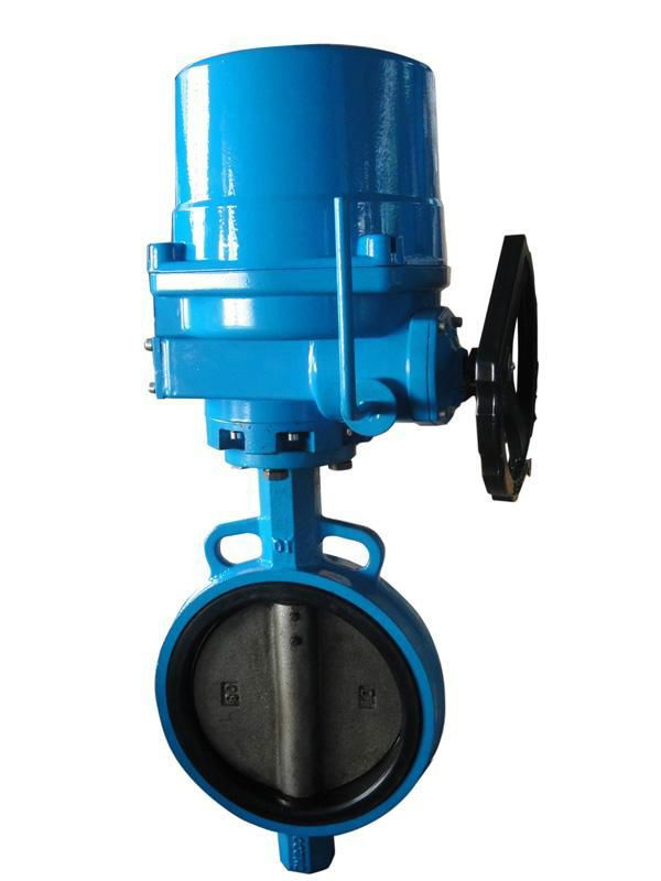 Butterfly Valve 4