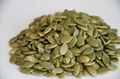 2014 New crop shine skin pumpkin seed kernel gradeAA 2