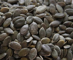 pumpkin seeds kernel grown without shell