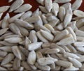 sunflower seed kernel confectionary grade 3