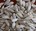 sunflower seed kernel confectionary