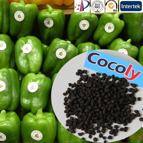 Full nutrient water soluble fruit fertilizer cocoly 2