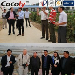 Cocoly new type N P K  founder of granular water soluble fertilizer