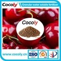 Cocoly organic NPK founder of water soluble fertilizer