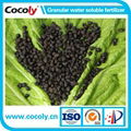 Cocoly organic NPK founder of water soluble fertilizer