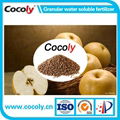 Cocoly complete nutritional water soluble fertilizer in granular shape 5