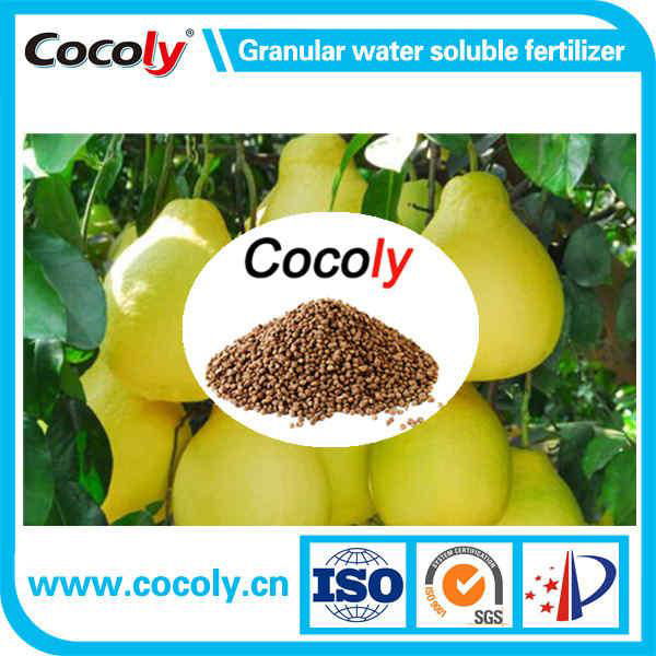 Cocoly complete nutritional water soluble fertilizer in granular shape