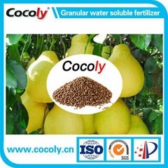 Cocoly complete nutritional water