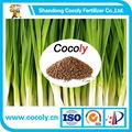 Cocoly organic fertilizer full solubility granular shape 2