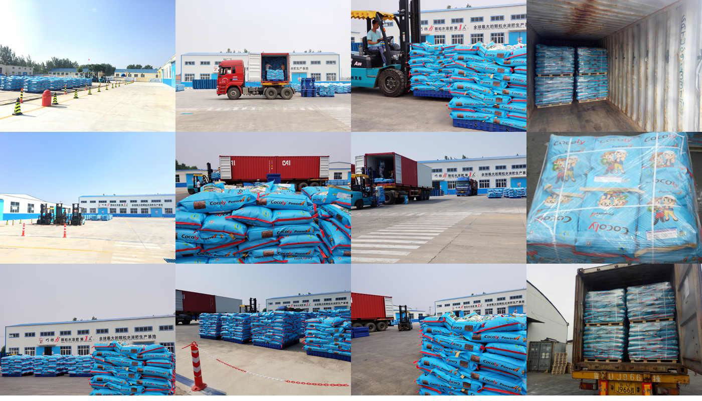 Cocoly granular water soluble fertilizer high quality 4