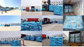 Cocoly granular water soluble fertilizer high quality 4
