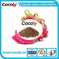 Cocoly granular water soluble fertilizer high quality 1