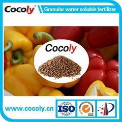 Agriculture fertilizer cocoly water soluble NPK
