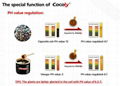 Agriculture fertilizer cocoly water soluble NPK 4