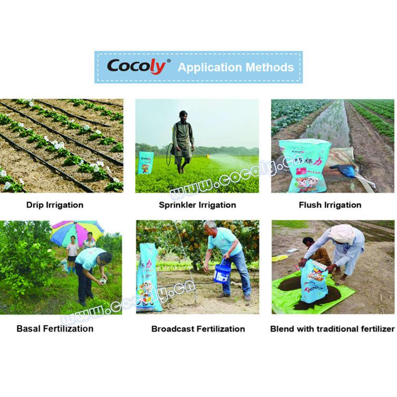 Chinese manufacture price cocoly NPK 15-3-5+TE water soluble  5