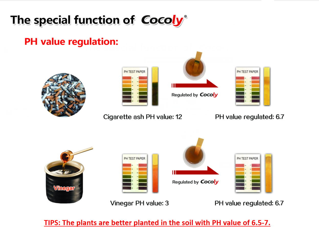 Improve disease resistance water-soluble fertilizer cocoly 2