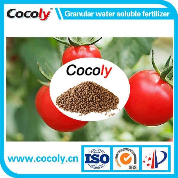 Cocoly new type N P K  founder of granular water soluble fertilizer 5