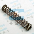 Ground compression Spring