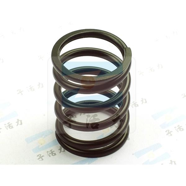 zihuoli compression spring 4