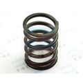 zihuoli compression spring 4