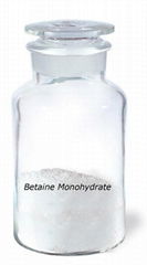 Betaine Monohydrate