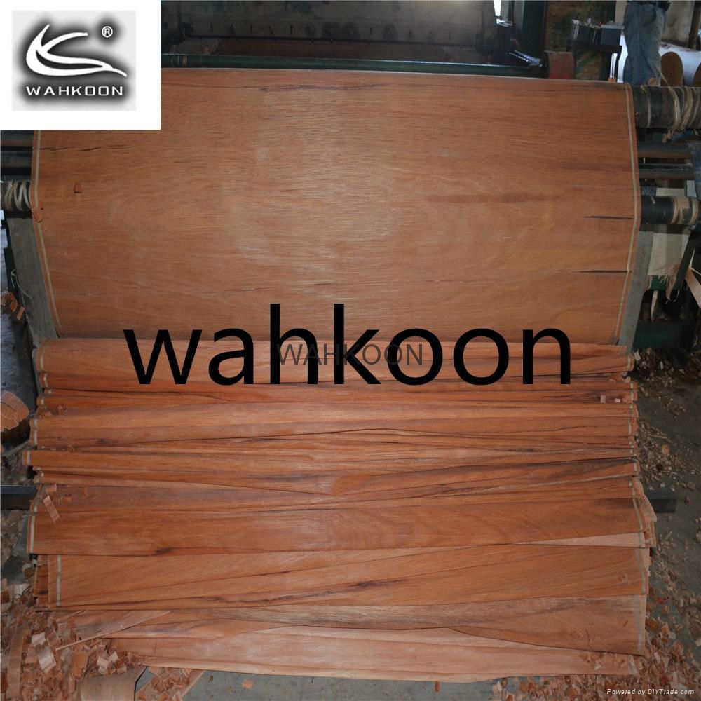 0.3mm engineered face veneer keruing face veneer gurjan wood 2