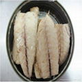 canned mackerel loins in soybean oil 170G  2