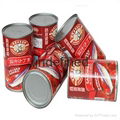 Canned sardines fish in tomato sauce  1