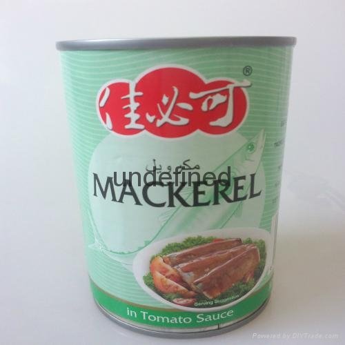 Canned Mackerel 3