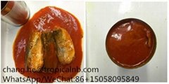 canned mackerel in tomato sauce 24X425g