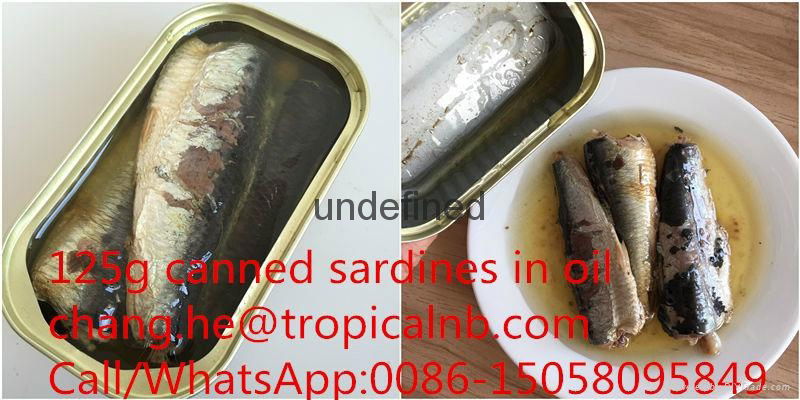 125g canned sardines in oil 3