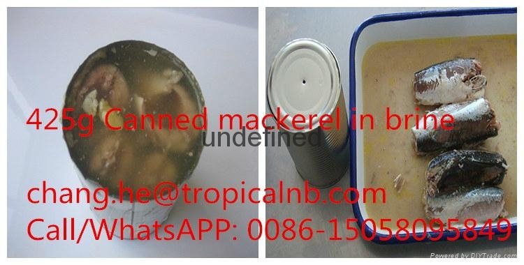 Canned Mackerel 2