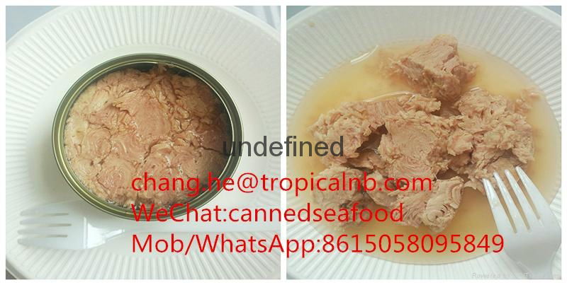 Canned light meat tuna in oil  2