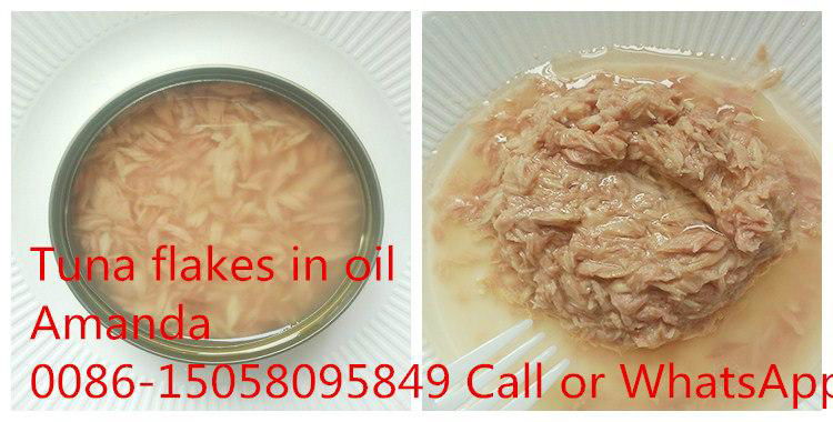 Canned white tuna in oil 2
