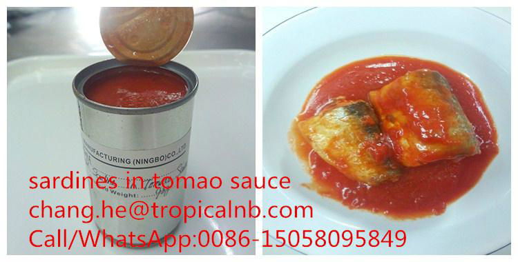  155G canned sardines in tomato sauce