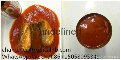 canned mackerel fish in hot tomato sacue 425g